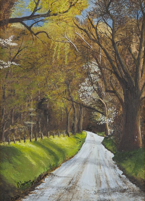 A country lane in spring, lined with trees and white blossom
